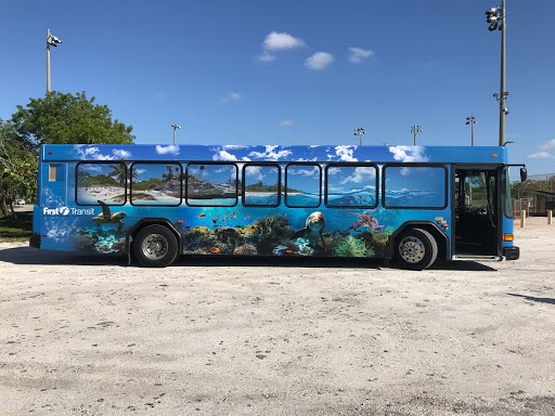 bus graphics